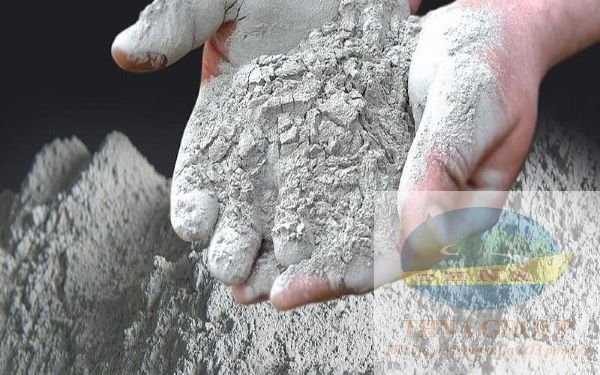 Một vài sự thật thú vị về Bột đá CaCO3