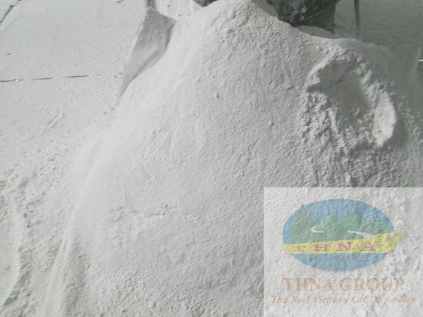 Cập nhật giá bột đá CaCO3 mới nhất 2026