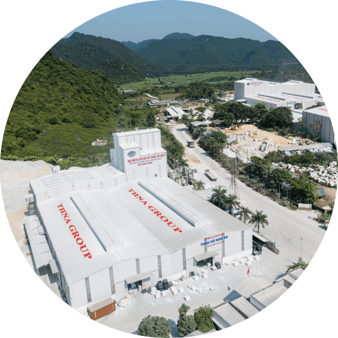 THNA Group in Numbers